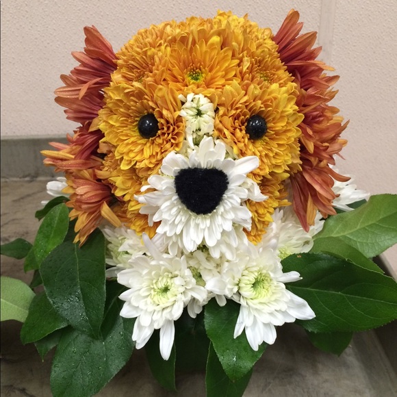 Meet your Posher, Kory - Picture 14 of 16